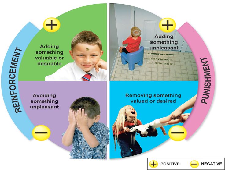 activities for identifying classical and operant conditioning