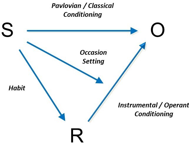 Putting Classical and Instrumental Conditioning Together - UPEI ...