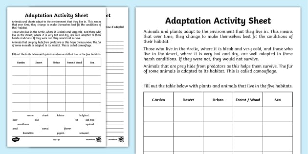 Adaptation Worksheet Research Activity (Lehrer gemacht)