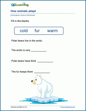 adaptation worksheet