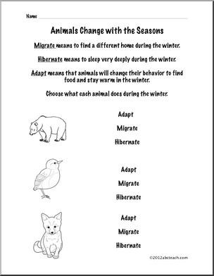 Animal Adaptation Worksheet - First Grade Science - Migration and ...