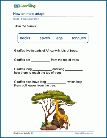 Animal Adaptations Worksheets | Worsheets library