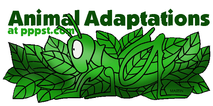Combination: Orienteering and Free Play + Animal Adaptations - June 10th -  14th, 2024; 9:00 a.m. - 3:30 p.m.