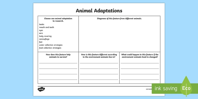 Animal Adaptations Research Worksheet (teacher made)