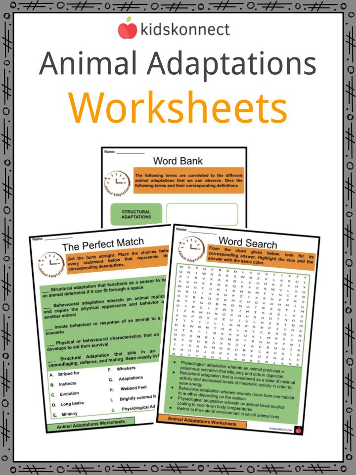 Animal Adaptations Facts, Worksheets &  Types For Kids