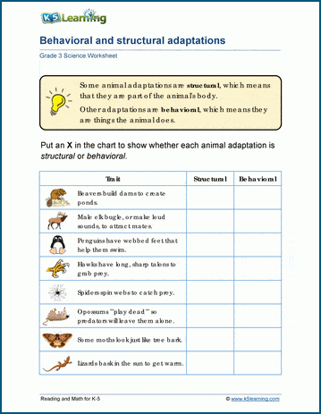Behavioral Adaptations Worksheets | Worsheets library