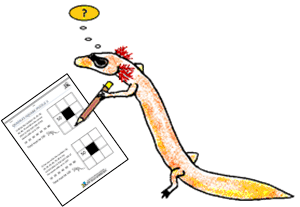 Fun Math Worksheets