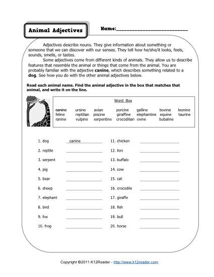 Possessive Adjectives | Free Printables | Grade 1 English