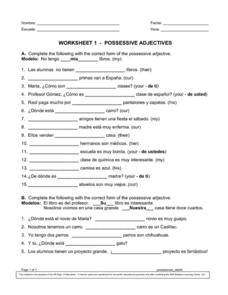 Possessive Adjective Lesson Plans &  Worksheets | Lesson Planet