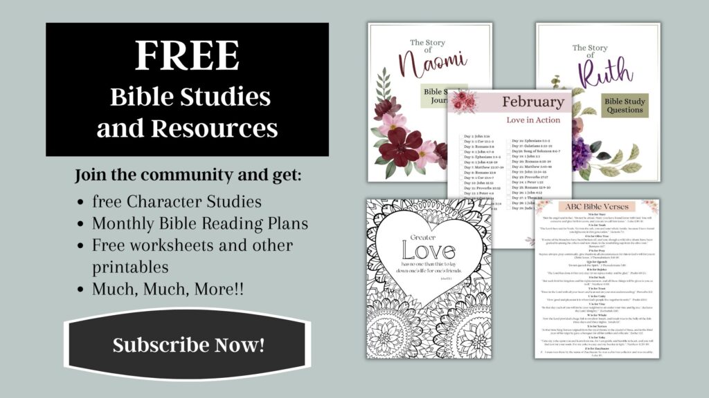 adult home bible study worksheet on joy