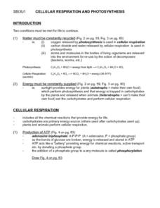 Cellular Respiration and Photosynthesis Worksheet for 9th - 11th ...