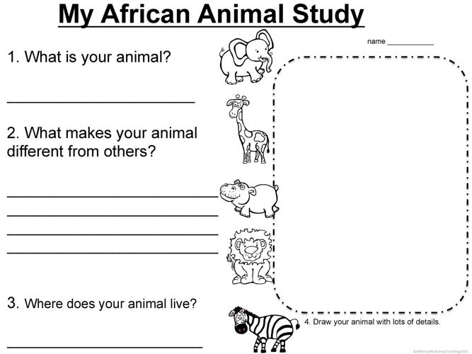 african worksheet