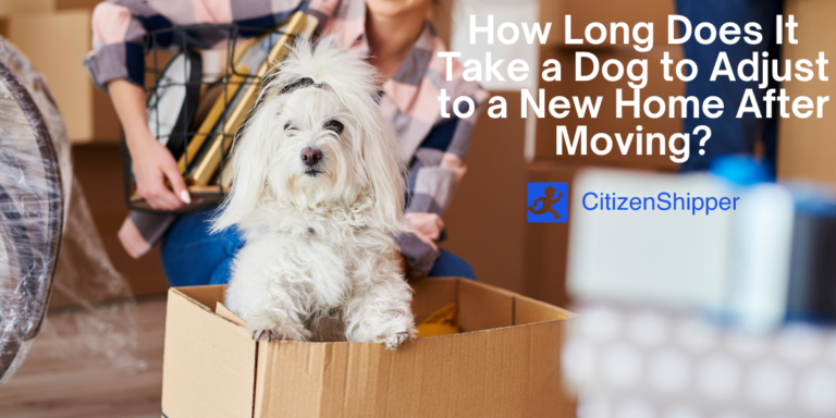 How Long Does It Take a Dog to Adjust to a New Home After Moving?
