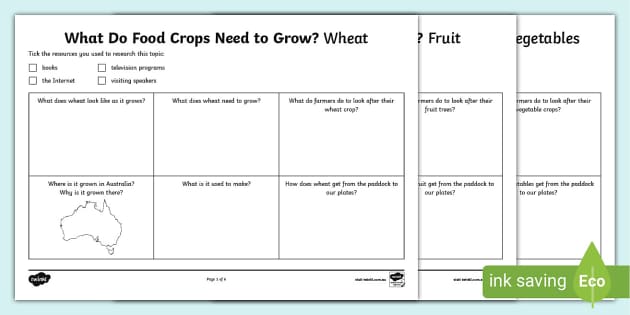 Agriculture Worksheets | Food Crop Primary Resources