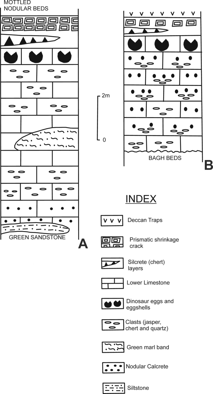 Discussion: Oospecies Diversity, Biomineralization Aspects ...