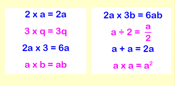algebraic expressions 7th grade