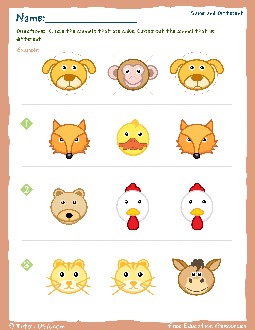 Same and Different Worksheets for Preschool