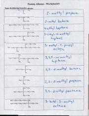 Solved Can anyone please provide a key to this worksheet so ...