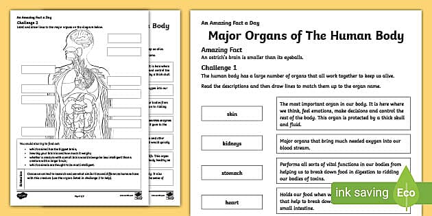 all in a day s work worksheet answers