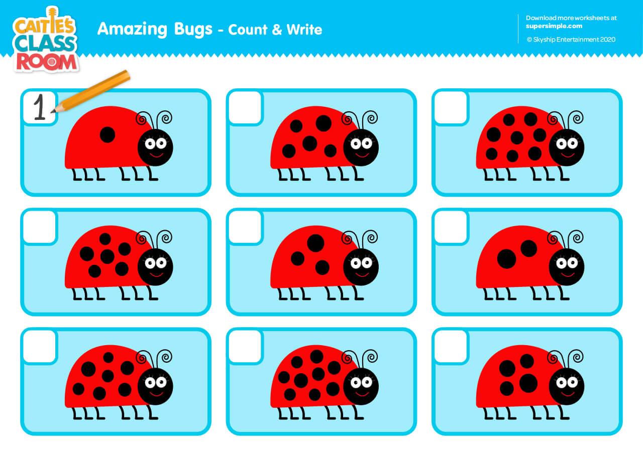 Amazing Birds worksheet  