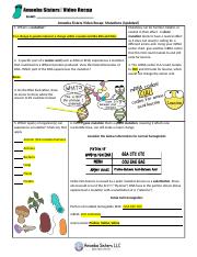 mutations updated recap by amoeba sisters.docx - Amoeba Sisters ...