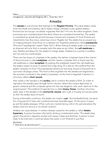 The Amoeba Worksheet for 6th - 8th Grade | Lesson Planet