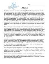 Amoeba Worksheet for 9th - 12th Grade | Lesson Planet