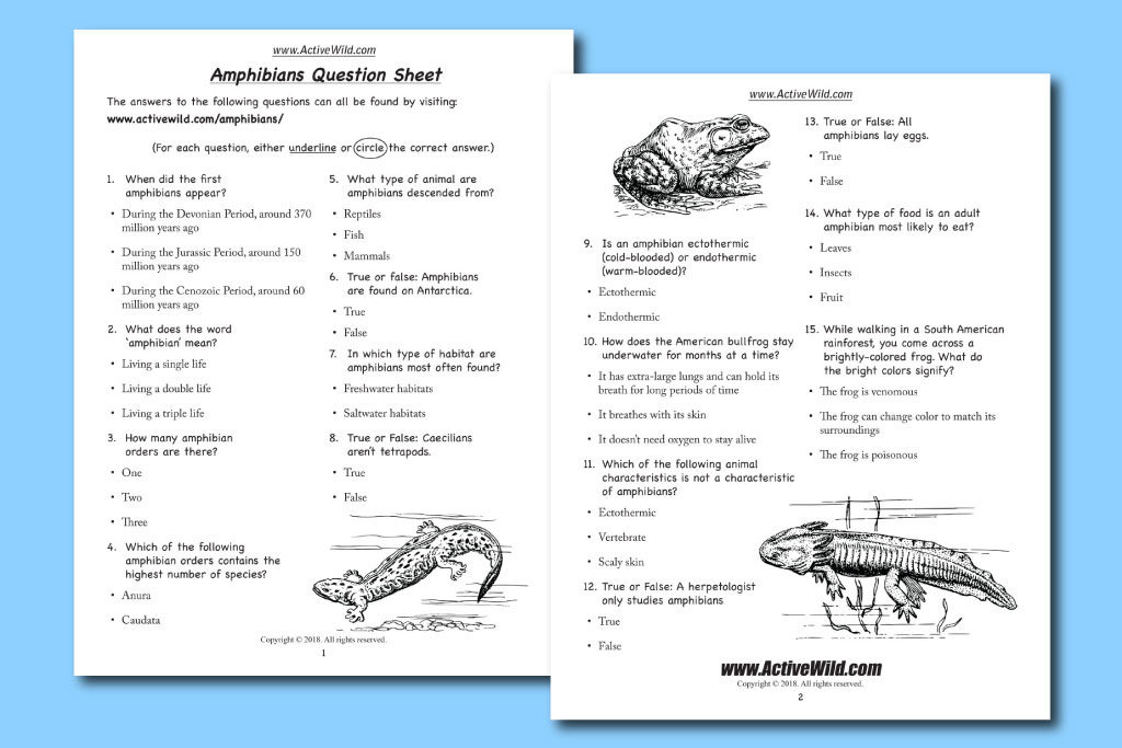 amphibians worksheet answers