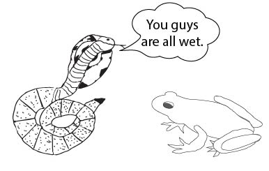 amphibians worksheet answers