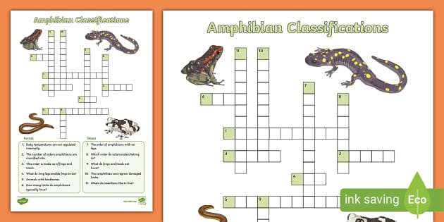 amphibians worksheet answers