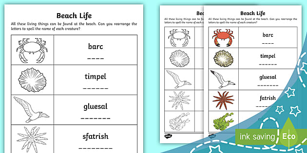 Beach Life Anagrams Worksheet / Worksheet (Lehrer gemacht)