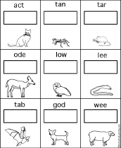 anagram worksheet