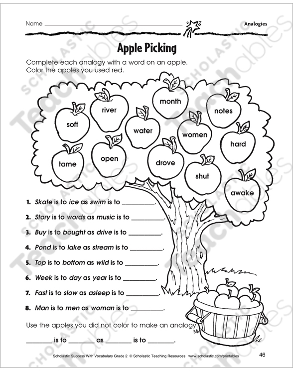 Analogies Grade 2 Collection Printable Differentiation Collections