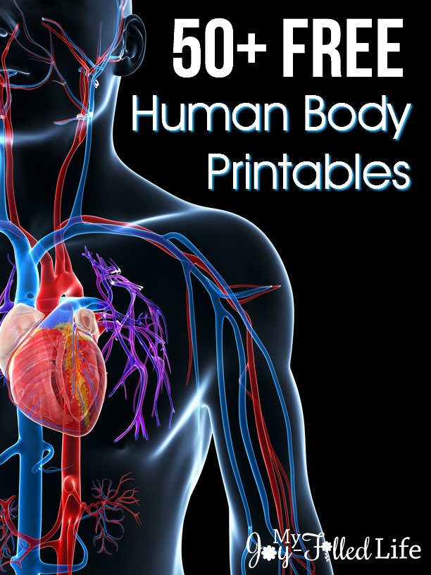 50+ FREE Human Body Printables - My Joy-Filled Life