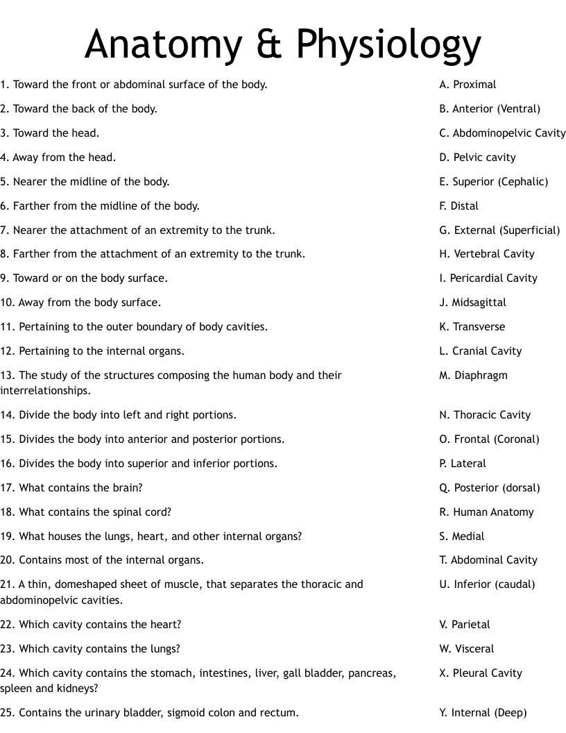 anatomy and physiology worksheet