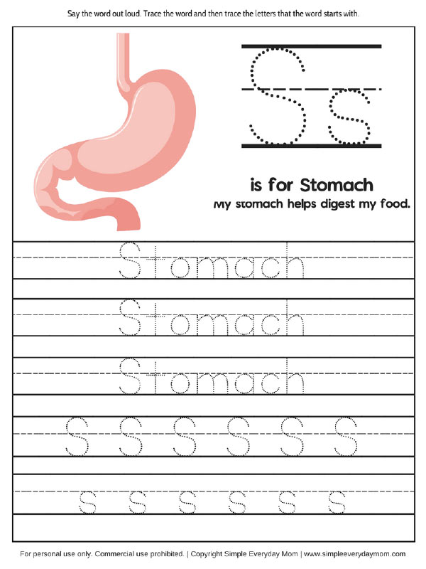Human Body Worksheets For Kindergarten &  Up