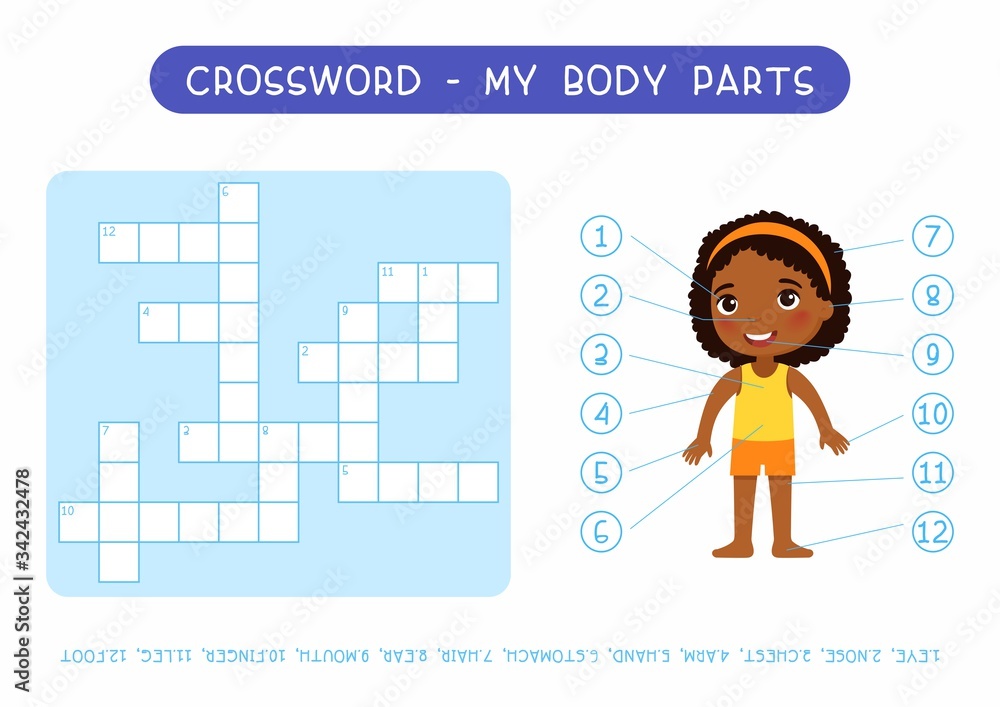 My body parts crossword flat vector template. Learning human ...