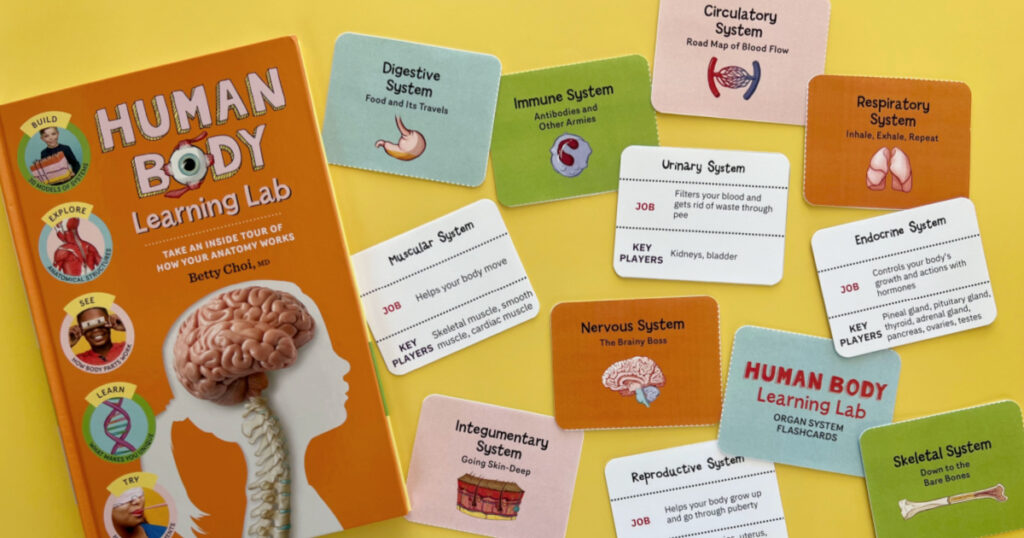 Anatomy Flashcards for Kids to Learn Organ Systems
