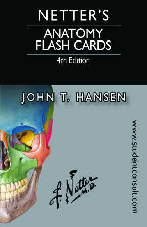 PDF) Netters Anatomy Flash Cards | Odalys González - Academia.edu