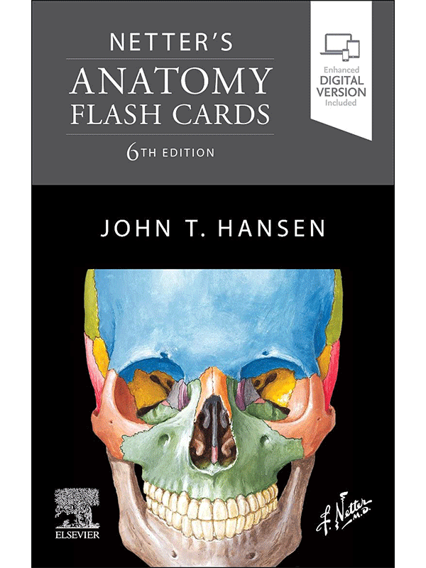 Netters Anatomy Flash Cards, 6th Edition | Vasiliadis Medical Books