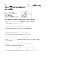 angiosperm and gymnosperm worksheet