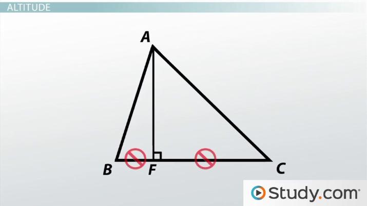 angle bisector median altitude perpendicular bisector