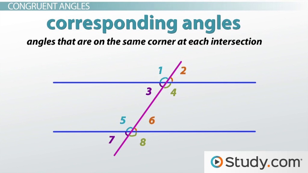 Parallel Lines and Transversals | Definition &  Diagrams Video