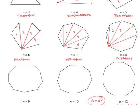 angles of polygon worksheet 8 answer key