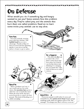Animal Survival and Adaptation Printables Worksheets &  Activities ...