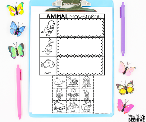 animal adaptations for kids worksheet