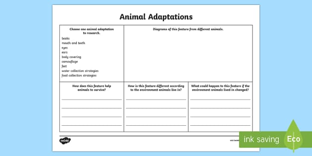 Animal Adaptations Research Worksheet (teacher made)