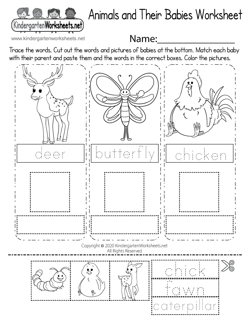 Animals and Their Babies Worksheet - Free Printable, Digital, &  PDF