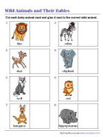 animal and their babies worksheet