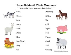 Farm Animals: Moms and Babies Matching Worksheets for PreK-5th grades